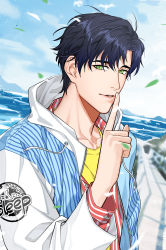 Rule 34 | 1boy, absurdres, black hair, blue sky, day, green eyes, highres, hood, hood down, jacket, light and night love, long sleeves, male focus, outdoors, short hair, sky, solo, taishu, upper body, water, wind, xiao yi (light and night love)
