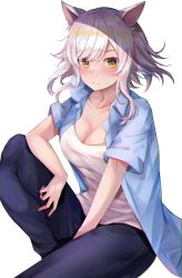 Rule 34 | absurdres, animal ears, arm on knee, black hanekawa, black pants, blouse, blue shirt, blush, breasts, cat ears, cat girl, cleavage, collarbone, commentary, fang, hand on lap, hand on own leg, hanekawa tsubasa, highres, knee up, looking at viewer, monogatari (series), nekomonogatari, nekomonogatari white, nose blush, open clothes, open shirt, pants, shadow, shirt, short hair, short hair with long locks, short sleeves, sidelocks, simple background, sitting, slit pupils, solo, undershirt, wavy hair, white background, white hair, white shirt, yellow eyes, yuunamida uyu
