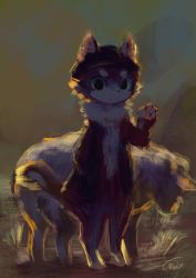 Rule 34 | animal, backlighting, blue eyes, body fur, cat, flat cap, furry, grass, hands in pockets, hat, highres, jacket, original, outdoors, rady-wolf, sheep, solo, standing