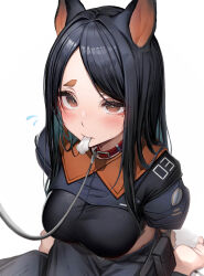 Rule 34 | 1girl, absurdres, animal ears, arknights, black hair, black pants, black shirt, blush, bone, breasts, brown eyes, collar, commentary request, dobermann (arknights), dog ears, dog girl, highres, leash, long hair, looking at viewer, medium breasts, mole, mole under eye, pants, red collar, shirt, simple background, sitting, solo, swept bangs, tab head, wariza, white background