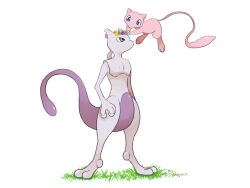 Rule 34 | blue eyes, closed mouth, commentary request, creatures (company), floating, full body, game freak, gen 1 pokemon, grass, head wreath, highres, legendary pokemon, looking at another, mew (pokemon), mewtwo, mthchupaca, mythical pokemon, nintendo, no humans, nostrils, pokemon, pokemon (creature), purple eyes, standing, translation request, white background