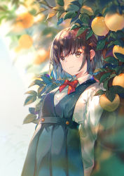 Rule 34 | 1girl, arms behind back, backlighting, blue dress, blue hair, blush, bow, bowtie, brown hair, closed mouth, collared shirt, commentary request, cowboy shot, dew drop, dress, food, fruit, gradient hair, highres, kita (kitairoha), leaf, lens flare, light rays, long sleeves, looking at viewer, multicolored hair, orange (fruit), orange tree, original, pinafore dress, red bow, red bowtie, school uniform, shirt, short hair, sleeveless dress, smile, solo, sparkle, sunbeam, sunlight, water drop, white shirt