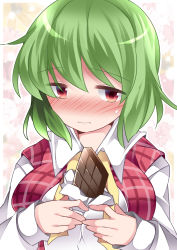Rule 34 | 1girl, averting eyes, bad id, bad pixiv id, between breasts, blush, breasts, breasts squeezed together, candy, chocolate, chocolate bar, commentary request, embarrassed, food, green hair, hammer (sunset beach), kazami yuuka, large breasts, long sleeves, looking down, red eyes, shirt, solo, sweatdrop, touhou, upper body, valentine, vest, wavy mouth
