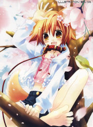 Rule 34 | 1girl, absurdres, animal ears, arm up, barefoot, bird, cherry blossoms, collar, denim, denim shorts, fang, feet, flower, highres, in tree, japanese clothes, leash, midriff, miko, navel, open mouth, orange hair, petals, sakurazawa izumi, short hair, shorts, sitting, sitting in tree, soles, solo, tail, toes, tree, yellow eyes