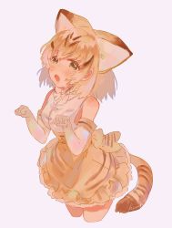 Rule 34 | 1girl, animal ears, bare shoulders, blonde hair, blush, bow, bowtie, cat ears, cat tail, cropped legs, elbow gloves, extra ears, frilled skirt, frills, gloves, hanako151, high-waist skirt, kemono friends, looking at viewer, multicolored hair, open mouth, paw pose, pink background, sand cat (kemono friends), shirt, short hair, skirt, sleeveless, sleeveless shirt, solo, striped clothes, striped skirt, striped tail, tail, white background, white bow, white hair, white shirt, yellow eyes