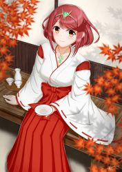 Rule 34 | 1girl, absurdres, alcohol, autumn leaves, blush, breasts, brown eyes, choko (cup), cleavage, commentary request, cup, hair ornament, highres, huge filesize, japanese clothes, ken-san, large breasts, leaf, looking at viewer, looking up, maple leaf, miko, nintendo, pyra (xenoblade), red hair, sakazuki, sake, short hair, sitting, smile, solo, tokkuri, xenoblade chronicles (series), xenoblade chronicles 2, xenoblade chronicles (series), xenoblade chronicles 2