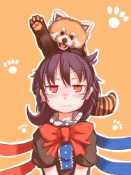 Rule 34 | 1girl, animal, animal on head, asymmetrical wings, black dress, black hair, blush, bow, bowtie, closed mouth, dress, furorina, houjuu nue, long hair, looking up, on head, raccoon, red bow, red bowtie, red eyes, short sleeves, touhou, upper body, v arms, wavy mouth, wings