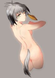 Rule 34 | 10s, 1girl, ass, back, bird tail, black hair, breasts, closed mouth, completely nude, cowboy shot, cropped legs, expressionless, grey background, grey hair, grey theme, hand up, kemono friends, long hair, looking at viewer, looking back, low ponytail, medium breasts, multicolored hair, nude, orange hair, pettan (cmdret), shoebill (kemono friends), shoulder blades, side ponytail, simple background, solo, tail, yellow eyes