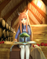 Rule 34 | 1girl, absurdres, animal ears, apple, artist request, barrel, bitten apple, book, brown hair, day, food, food bite, fruit, hand on own face, hay, highres, holo, indoors, long hair, pectorals, pop-up book, red eyes, shirt, sitting, skirt, solo, spice and wolf, straw (stalk), thighhighs, tree, vest, white thighhighs, wolf ears