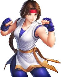 Rule 34 | 1girl, braid, braided ponytail, brown hair, fighting stance, headband, ryuuko no ken, smile, snk, solo, spandex, the king of fighters, yuri sakazaki