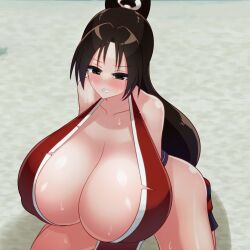 Rule 34 | 1girl, breasts, fatal fury, gigantic breasts, highres, long hair, ponytail, shiranui mai, solo