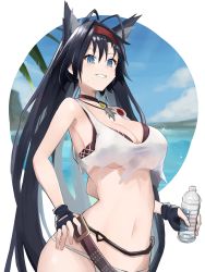 Rule 34 | 1girl, absurdres, animal ears, antenna hair, arched back, arknights, bare arms, belt, bikini, black bikini, black choker, black gloves, black hair, blaze (arknights), blue eyes, blue sky, bottle, breasts, cat ears, cat girl, choker, circle, cleavage, cloud, commentary request, crop top, fingerless gloves, gloves, hairband, hand on own hip, highres, holding, holding bottle, jewelry, large breasts, long hair, looking at viewer, mismatched bikini, navel, necklace, ocean, official alternate costume, open mouth, ozyomin, red hairband, shirt, sky, solo, sparkle, sweat, swimsuit, teeth, upper body, water bottle, white background, white bikini, white shirt