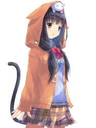 Rule 34 | 1girl, \||/, akayama yukihe, animal, animal on head, arm at side, asakura karen (heaven burns red), black hair, blunt bangs, blush, bow, brown eyes, brown skirt, cat, cat tail, commentary, cowboy shot, eyelashes, heaven burns red, highres, hood, hood up, hooded jacket, jacket, long hair, looking at viewer, low twintails, miniskirt, on head, open clothes, open jacket, open mouth, orange jacket, plaid, plaid skirt, pleated skirt, red bow, school uniform, simple background, skirt, solo, standing, straight hair, tail, tail raised, tsurime, twintails, white background, white cat