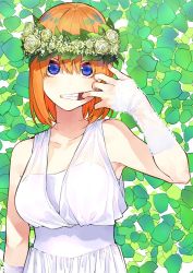 Rule 34 | absurdres, arm up, bare shoulders, breasts, collarbone, commentary request, dress, finger in own mouth, fingernails, flower, go-toubun no hanayome, green background, hair between eyes, hair flower, hair ornament, haruba negi, highres, leaf, looking at viewer, nakano yotsuba, official art, open mouth, orange hair, short hair, simple background, sleeveless, sleeveless dress, solo, upper body, white dress