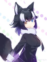 Rule 34 | 10s, 1girl, :&gt;, alternate hair length, alternate hairstyle, animal ears, arms at sides, black hair, black jacket, blazer, blue background, blue eyes, breasts, buttons, eyelashes, from side, fur collar, gloves, gradient clothes, gradient hair, grey wolf (kemono friends), heterochromia, jacket, kemono friends, large breasts, long sleeves, looking at viewer, multicolored background, multicolored hair, necktie, nyori, outline, pink background, plaid, plaid necktie, plaid neckwear, purple background, short hair, sleeve cuffs, smile, solo, tail, tsurime, twitter username, two-tone hair, upper body, wavy hair, white background, white gloves, white hair, wolf ears, wolf tail, yellow eyes