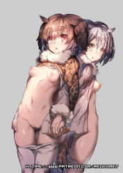 Rule 34 | 10s, 2girls, :o, breasts, brown hair, cleft of venus, eurasian eagle owl (kemono friends), fur collar, grey background, head wings, holding hands, kemono friends, looking at viewer, looking back, medium breasts, multiple girls, navel, nipples, northern white-faced owl (kemono friends), open clothes, open mouth, pussy, red eyes, redcomet, short hair, silver hair, simple background, small breasts, standing, thigh gap, uncensored, watermark, web address, wings, yellow eyes