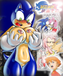Rule 34 | 00s, amy rose, blush, breasts, chris thorndyke, furry, gender request, genderswap, sega, sex, sonic the hedgehog, sonic (series), sonic x, surprised, tails (sonic), text focus