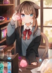Rule 34 | 1girl, animal ears, arm up, black jacket, blue eyes, blush, bow, bowtie, brown hair, collared shirt, extra ears, eyes visible through hair, gem, grey sweater, heripiro, highres, holding, holding jar, indoors, jacket, jar, layered sleeves, long hair, long sleeves, original, parted lips, red bow, red bowtie, shelf, shirt, sleeves past wrists, solo, sweater, table, tail, tail raised, test tube, twintails, white shirt, window, wooden table