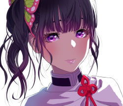 Rule 34 | 1girl, absurdres, black hair, butterfly hair ornament, capelet, closed mouth, commentary, hair ornament, high collar, highres, kimetsu no yaiba, light smile, lips, long hair, looking at viewer, medium hair, portrait, purple eyes, side ponytail, simple background, solo, tsuyuri kanao, uniform, white background, white capelet, yamashita shun&#039;ya