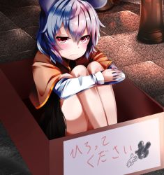 Rule 34 | 1girl, ahoge, animal ears, bare legs, black skirt, blush, box, buta (uhoiiotoko), capelet, carton, crossed arms, eyebrows, frown, hair between eyes, in box, in container, knees to chest, knees up, leg up, long sleeves, looking at viewer, mouse ears, nazrin, pillar, red eyes, ribbon-trimmed clothes, ribbon trim, short hair, silver hair, sitting, skirt, solo, sweat, thick eyebrows, tile floor, tiles, touhou