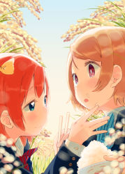 Rule 34 | 10s, 2girls, :o, blazer, blue eyes, blush, bow, bowl, brown hair, chopsticks, day, eye contact, food, food on face, grass, hair bow, hand on another&#039;s face, jacket, koizumi hanayo, kosaka honoka, long sleeves, looking at another, love live!, love live! school idol project, mizu asato, multiple girls, necktie, outdoors, profile, purple eyes, reaching, red hair, rice, rice bowl, rice on face, school uniform, short hair, sky, smile, striped necktie, striped neckwear, yuri