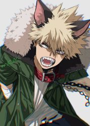 Rule 34 | 1boy, animal ears, bakugou katsuki, bandaged arm, bandages, blonde hair, boku no hero academia, chain, collar, fangs, fur collar, green jacket, jacket, male focus, mkm (mkm storage), open mouth, red collar, red eyes, shirt, signature, simple background, solo, spiked hair, teeth, werewolf, white shirt, wolf ears