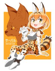 Rule 34 | 1girl, :d, animal ear fluff, animal ears, bare shoulders, blouse, boots, bow, bowtie, character name, claw pose, elbow gloves, footwear bow, full body, gloves, hand up, high-waist skirt, kemono friends, looking at viewer, open mouth, orange hair, outline, panties, pantyshot, print bow, print bowtie, print gloves, print neckwear, print panties, print skirt, serval, serval (kemono friends), serval print, serval tail, shirt, short hair, sitting, skirt, sleeveless, sleeveless shirt, smile, solo, striped tail, sumiiisu2324, tail, traditional bowtie, underwear, white footwear, white outline, white shirt, yellow eyes