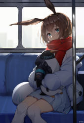 Rule 34 | 1girl, absurdres, amiya (arknights), amiya (fresh fastener) (arknights), animal ears, arknights, artist name, bad id, bad pixiv id, blue eyes, blue jacket, blue skirt, brown hair, commentary, feet out of frame, highres, holding, holding stuffed toy, indoors, jacket, long sleeves, looking at viewer, miniskirt, official alternate costume, pleated skirt, pole, puffy sleeves, rabbit ears, red scarf, scarf, shao (shaorouhong), shirt, short hair, sitting, skirt, solo, stuffed animal, stuffed penguin, stuffed toy, thighhighs, white shirt, white thighhighs, zettai ryouiki