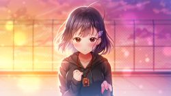 Rule 34 | 1girl, ahoge, asagao wa ai o shiranai., black jacket, blush, closed mouth, collarbone, evening, flower, game cg, hair flower, hair ornament, highres, hiiro asagao, hood, hood down, hooded jacket, jacket, long sleeves, looking at viewer, maumen, medium hair, purple hair, red eyes, rooftop, sleeves past wrists, solo, upper body