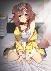Rule 34 | 1girl, animal ears, bed, blurry, blush, bone hair ornament, braid, breasts, brown hair, cabinet, cleavage, collar, collarbone, commentary request, curtains, dog ears, dog girl, dog tail, ebi frion (matsuri channel), hair between eyes, hair ornament, hairclip, highres, hololive, inugami korone, inugami korone (1st costume), looking at viewer, lux (dera ix), medium breasts, medium hair, seiza, shirt, sitting, solo, tail, twin braids, virtual youtuber