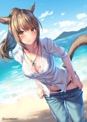 Rule 34 | 1girl, animal ears, aruma jiki, warrior of light (ff14), beach, bikini, black bikini, blue pants, blush, breasts, brown hair, cat ears, cat tail, cleavage, clothes pull, collarbone, day, facial mark, final fantasy, final fantasy xiv, jewelry, large breasts, long hair, looking at viewer, miqo&#039;te, necklace, orange eyes, outdoors, pants, pants pull, ponytail, shirt, sidelocks, smile, solo, swimsuit, tail, wet, wet clothes, white shirt