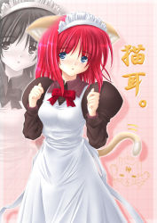 Rule 34 | 00s, 1girl, = =, animal ears, apron, blue eyes, cat, cat ears, cat tail, female focus, halo, hisui (tsukihime), maid, maid apron, red hair, short hair, solo, standing, tail, tears, tsukihime, zoom layer
