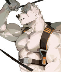 Rule 34 | 1boy, abs, animal ears, backpack, bag, bara, bear boy, bear ears, belt, biceps, body fur, flexing, furry, furry male, highres, holding, large pectorals, male focus, muscular, muscular male, nipples, no shirt, original, pectorals, scar, scar across eye, scar on face, seato-hao, short hair, smirk, snout, solo, stomach, thick eyebrows, upper body, white fur