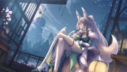 Rule 34 | 1girl, animal ear fluff, animal ears, breasts, character request, commentary, commission, copyright request, crossed legs, dress, dutch angle, english commentary, from below, fur-trimmed dress, fur trim, green dress, grey hair, hair between eyes, highres, holding, large breasts, legs, long hair, looking at viewer, mountain, mountainous horizon, night, sitting, skeb commission, sky, smile, solo, tail, tenmaso