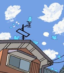 Rule 34 | bird, blue sky, cloud, commentary request, day, house, kuro shiro (kuro96siro46), no humans, outdoors, power lines, sky, too many, twitter, twitter bird, twitter logo, window