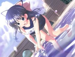 Rule 34 | 1girl, animal ears, barefoot, blue eyes, blue hair, blue one-piece swimsuit, blush, cat ears, cat girl, cloud, collarbone, flat chest, game cg, leaning forward, long hair, looking at viewer, maiden breeder, maiden breeder 2, name tag, one-piece swimsuit, open mouth, school swimsuit, sky, solo, splashing, swimsuit, teeth, water