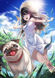 Rule 34 | 1girl, :d, bare shoulders, black hair, cloud, contrail, day, dog, dress, from below, grass, hat, long hair, looking at viewer, open mouth, original, paper airplane, pug, purple eyes, purple hair, running, sky, smile, solo, straw hat, sundress, tongue, tongue out, unowen, white dress