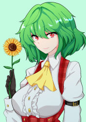 Rule 34 | 1girl, absurdres, ascot, black gloves, breasts, buttons, closed mouth, collared shirt, commentary, flower, framed breasts, fugaku (miko no miyatsuguchi), gloves, green background, green hair, hair between eyes, highres, holding, holding flower, kazami yuuka, large breasts, long sleeves, looking at viewer, plaid, plaid vest, red eyes, red vest, shirt, short hair, simple background, slit pupils, solo, sunflower, touhou, upper body, vest, white shirt