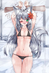 Rule 34 | !?, 1girl, absurdres, animal ear fluff, animal ears, arms up, bad id, bad pixiv id, bikini, black bikini, blush, breasts, cameltoe, cleavage, collarbone, flower, fox ears, fox girl, fox tail, green eyes, hair flower, hair ornament, highres, holding another&#039;s wrist, large breasts, long hair, navel, nose blush, one eye closed, open mouth, original, red flower, silver hair, solo focus, standing, stomach, swimsuit, tail, tandohark, tears, thigh grab, tile wall, tiles, trembling, very long hair, wet