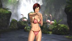 Rule 34 | 1girl, 3d, bikini, bird, breasts, checkered bikini, checkered clothes, cleavage, curvy, dead or alive, dead or alive 5, fighting stance, flamingo, highres, large breasts, linea alba, mila (doa), navel, official art, official wallpaper, perfect breasts, punching, rainforest, red bikini, red hair, short hair, side-tie bikini bottom, sideboob, solo, swimsuit, tecmo, toned, underboob, wallpaper, water