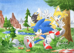 Rule 34 | 2boys, animal nose, blue eyes, blue fur, blue sky, chao (sonic), finik, fox boy, furry, furry male, gloves, grass, green eyes, hedgehog ears, hedgehog tail, highres, hill, hill top zone, male focus, multiple boys, multiple tails, open mouth, red footwear, shoes, sky, smile, sneakers, sonic (series), sonic the hedgehog, tail, tails (sonic), tree, two tails, white gloves, yellow fur