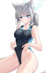 Rule 34 | 1girl, absurdres, animal ear fluff, animal ears, blue archive, blue eyes, blush, breasts, closed mouth, collarbone, extra ears, grey hair, hair ornament, halo, highres, large breasts, looking at viewer, mismatched pupils, official alternate costume, official alternate hairstyle, one-piece swimsuit, rynzfrancis, shiroko (blue archive), shiroko (swimsuit) (blue archive), sitting, solo, swimsuit, thighs, two-tone swimsuit, wet, wolf ears
