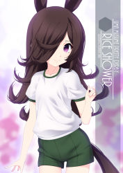Rule 34 | 1girl, alternate costume, animal ears, artist name, black hair, character name, collarbone, commentary request, cowboy shot, green shorts, gym shirt, gym shorts, gym uniform, hair over one eye, highres, horse ears, horse girl, horse tail, inaba shiki, long hair, looking at viewer, purple eyes, rice shower (umamusume), shirt, short sleeves, shorts, solo, standing, t-shirt, tail, umamusume, white shirt