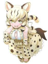 Rule 34 | 1girl, absurdres, animal ears, bow, bowtie, cat ears, cat girl, cat tail, extra ears, geoffroy&#039;s cat (kemono friends), green eyes, grey hair, highres, kemono friends, kemono friends v project, long hair, lowlandgorilla, ribbon, shirt, simple background, skirt, solo, suspenders, tail, thighhighs, virtual youtuber
