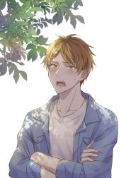 Rule 34 | 1boy, absurdres, blonde hair, blue jacket, blush, crossed arms, datenshihitsugi, given, highres, jacket, kashima hiiragi (given), leaf, long sleeves, looking at viewer, male focus, multicolored hair, open clothes, open jacket, open mouth, shirt, short hair, simple background, solo, streaked hair, sweatdrop, teeth, tree shade, upper body, white background, white shirt