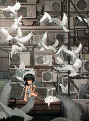 Rule 34 | 1girl, absurdres, air conditioner, angel, angel wings, arm support, bird, black hair, blob, boots, brown footwear, chromatic aberration, commentary, condenser unit, cowboy boots, dove, dress, eating, english commentary, flock, food, grey dress, grey wings, halo, highres, holding, holding food, holding popsicle, knees up, looking at viewer, looking to the side, medium hair, melting, multicolored wings, myango (applemangocrape), original, outdoors, pink eyes, popsicle, sitting, sleeveless, sleeveless dress, spaghetti strap, taking off, too many, white wings, wide shot, wings, wolf cut