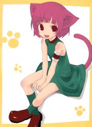 Rule 34 | animal ears, cat ears, cat tail, original, tail, tatsukichi