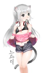 Rule 34 | 10s, 1girl, animal ears, bad id, bad pixiv id, bikini, bikini pull, bikini under clothes, blade &amp; soul, breasts, cat ears, clenched teeth, clothes lift, clothes pull, didagger, grey eyes, headphones, headphones around neck, hello kitty, highres, long hair, lyn (blade &amp; soul), mouth hold, navel, off shoulder, sanrio, shirt, shirt lift, short shorts, shorts, silver hair, simple background, small breasts, solo, swimsuit, swimsuit under clothes, tail, teeth, unbuttoned, undressing, unzipped, white background