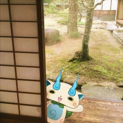 Rule 34 | 10s, architecture, ayu (mog), bad id, bad pixiv id, east asian architecture, furoshiki, komasan, looking at viewer, no humans, open mouth, photo background, sliding doors, solo, tree, waving, traditional youkai, youkai watch
