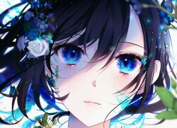 Rule 34 | 58 (opal 00 58), black hair, blue butterfly, blue eyes, blue flower, blue hair, bug, butterfly, close-up, closed mouth, colored inner hair, commentary, english commentary, flower, forget-me-not (flower), hair between eyes, hair flower, hair ornament, highres, insect, leaf, looking at viewer, medium hair, multicolored hair, original, paint splatter, paint splatter on face, portrait, solo, two-tone hair, water drop, white background, white flower